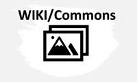 Wikipedia Commons